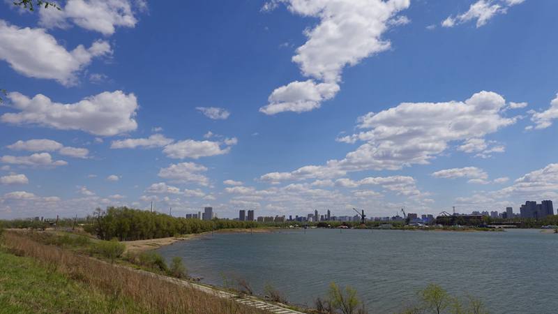 DSC06536.JPG