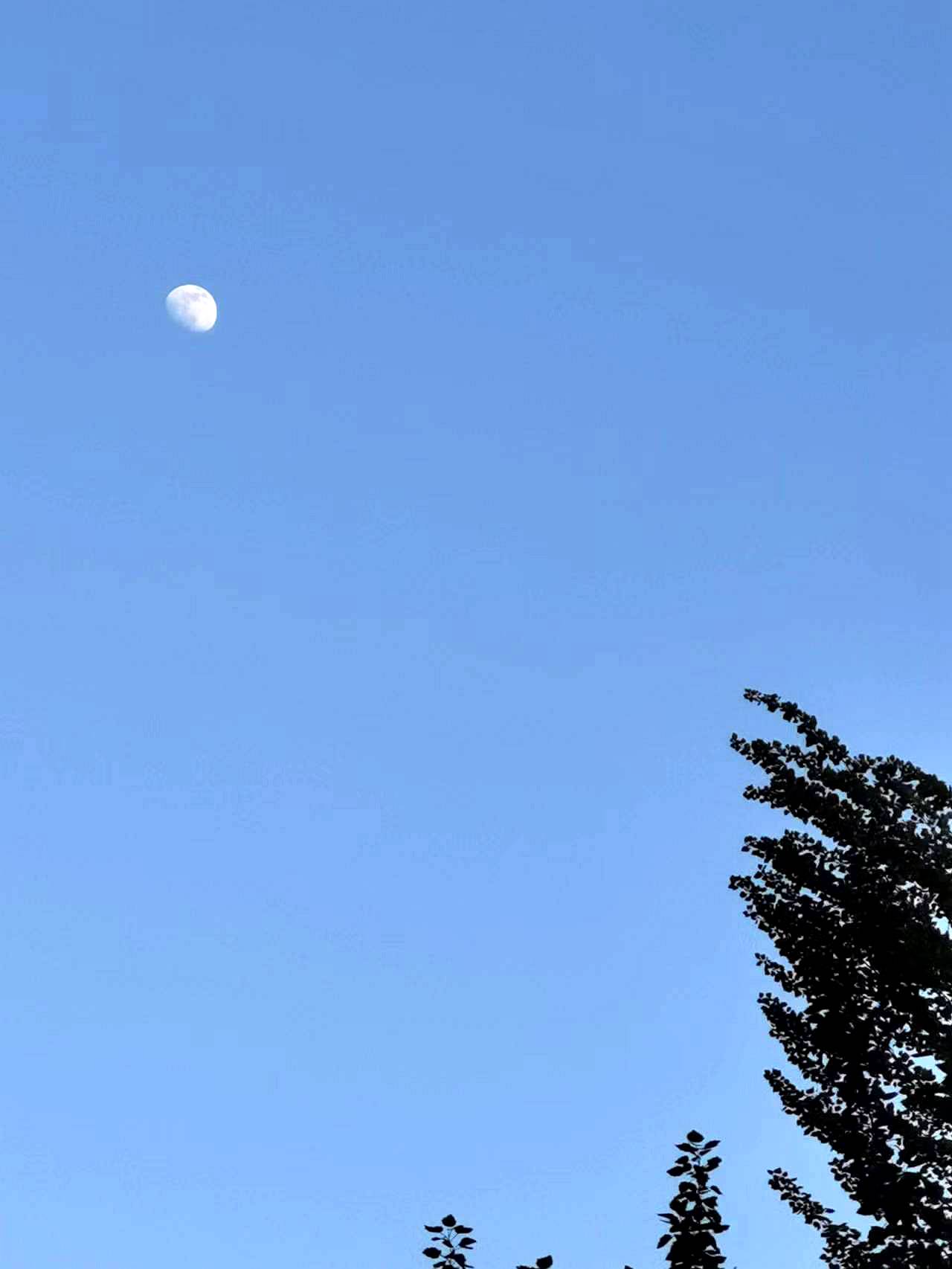 ΢ͼƬ_20220512193721.jpg
