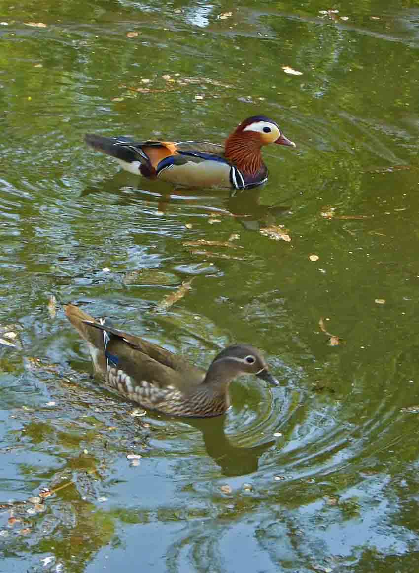 DSC07700-3-.jpg