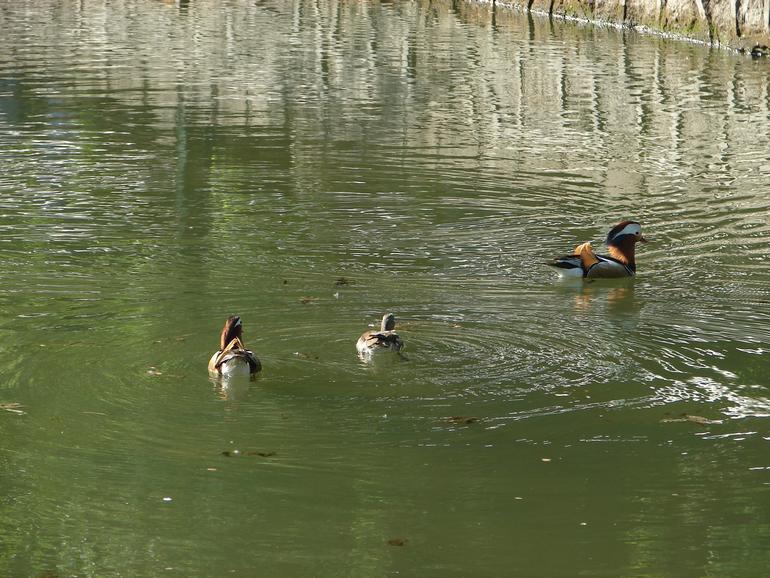 DSC07657.JPG