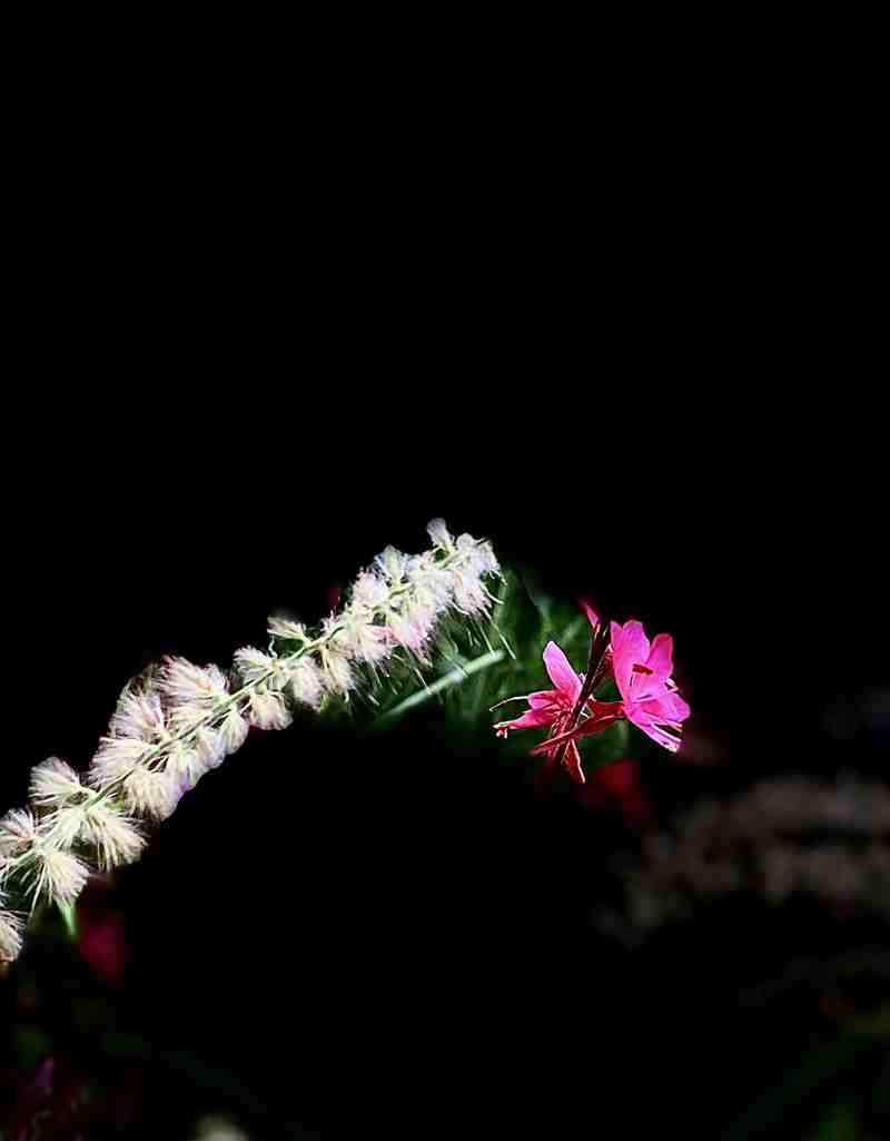 ΢ͼƬ_20220531143225.jpg