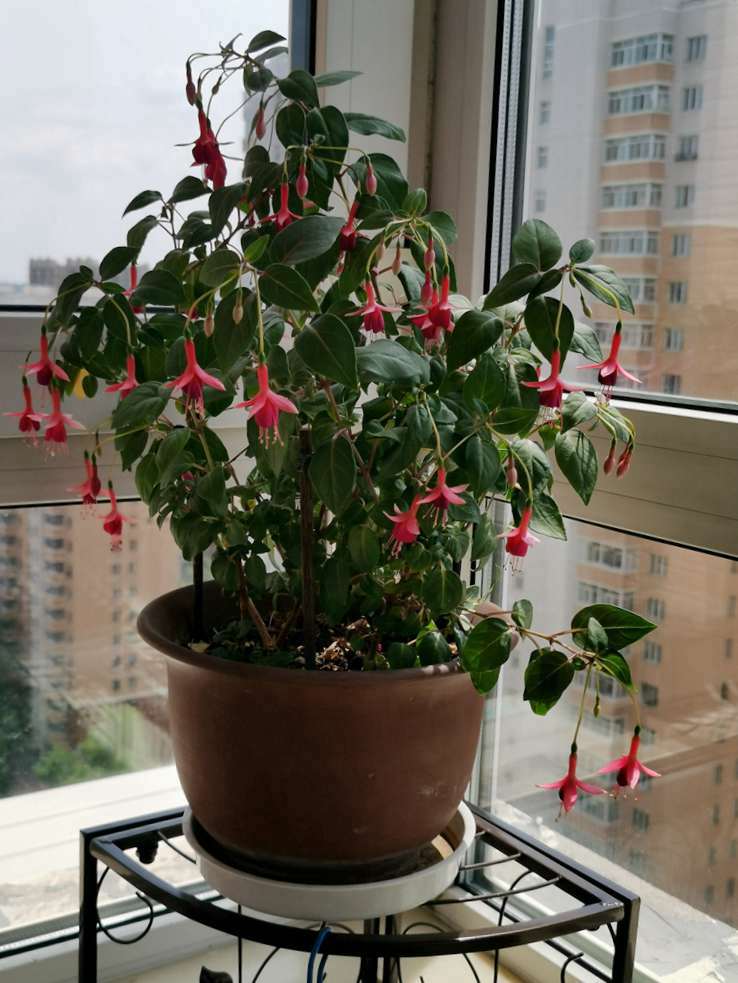΢ͼƬ_20220622114511.jpg