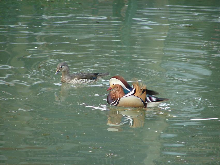DSC03554.JPG