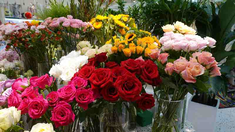 DSC00053.JPG