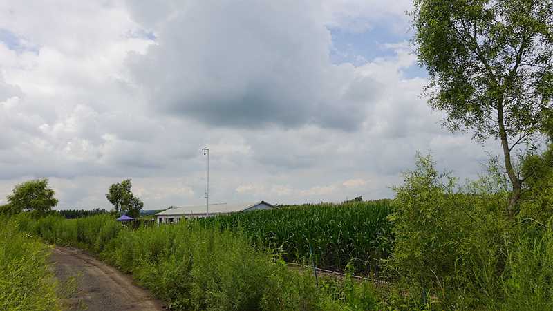 DSC00603.JPG