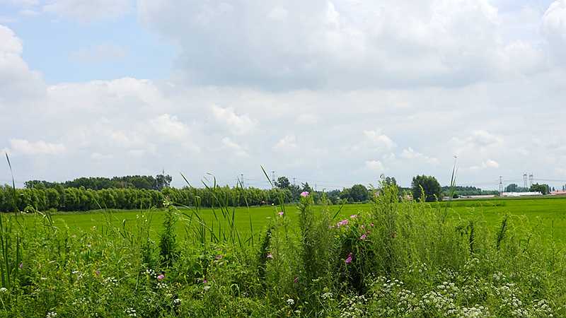 DSC00615.JPG