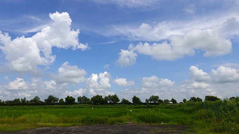 DSC00620.JPG