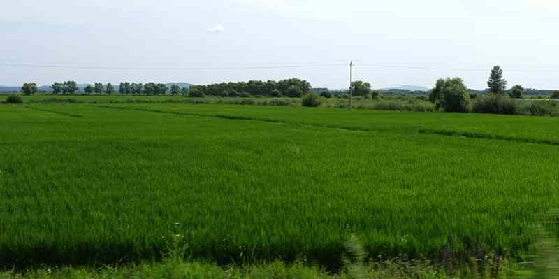 DSC04076.JPG