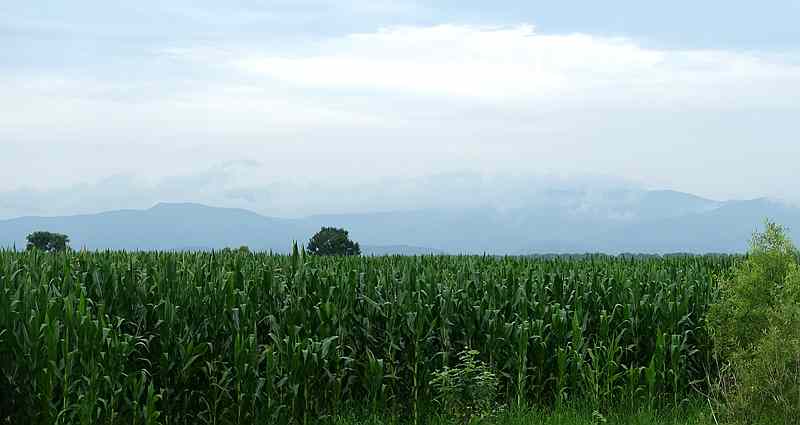 DSC04381.JPG