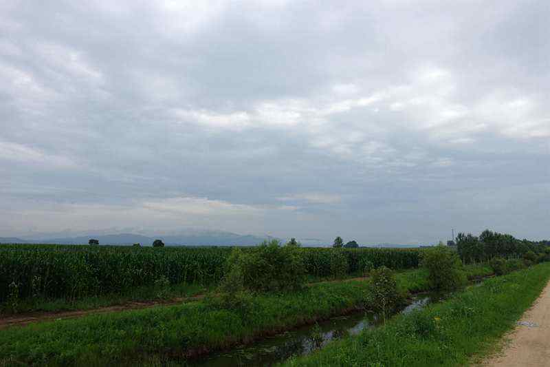 DSC04383.JPG