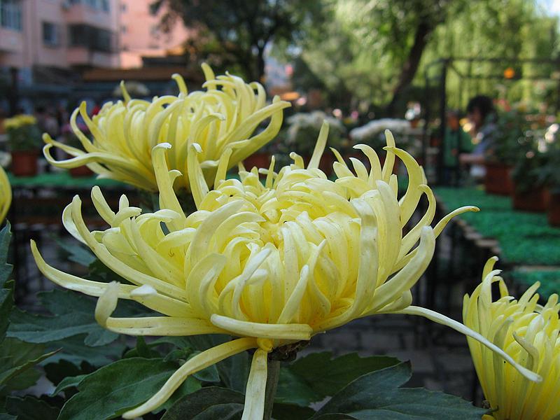 Ƭ 083.jpg