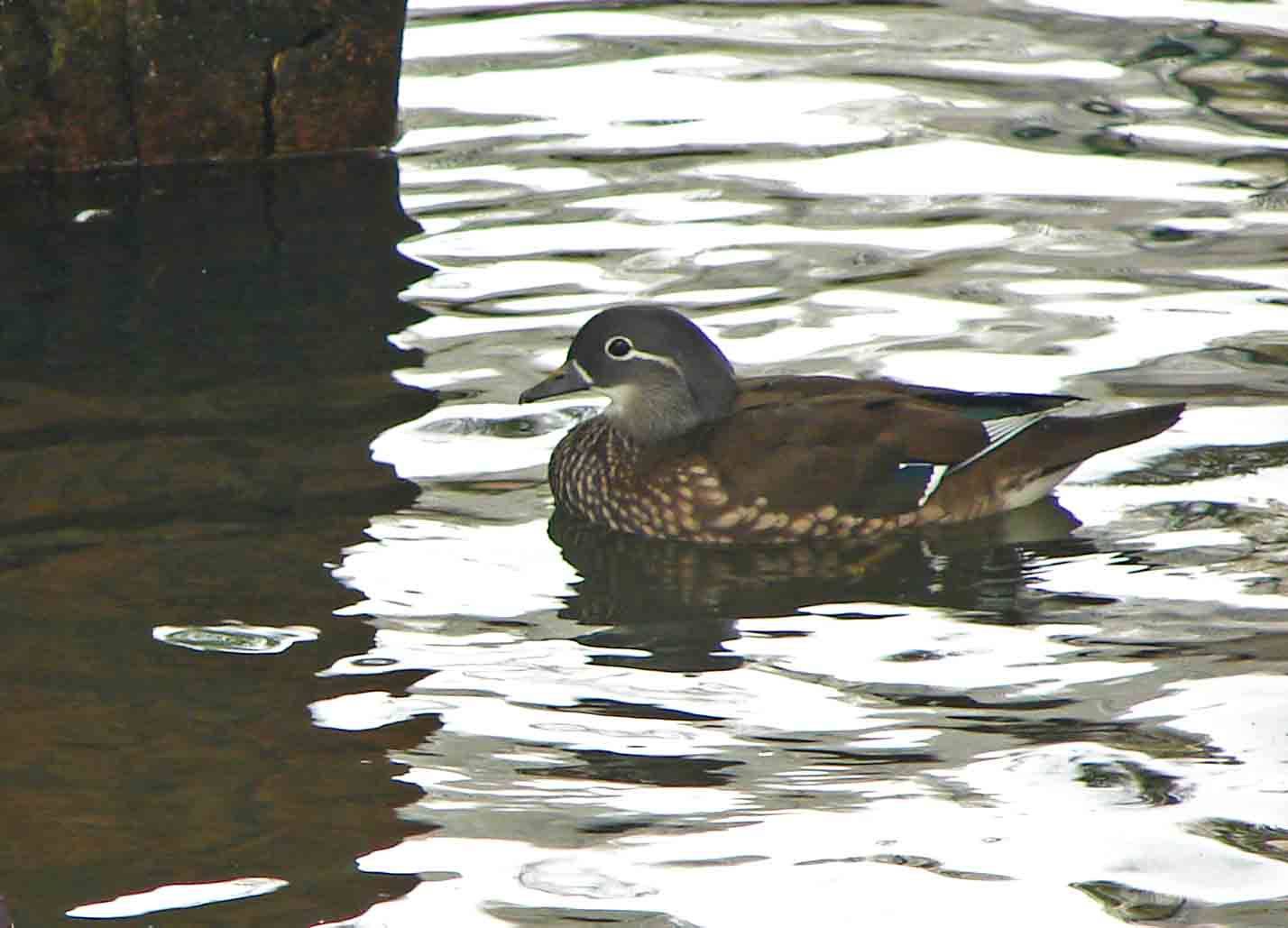 DSC08616-3-.jpg