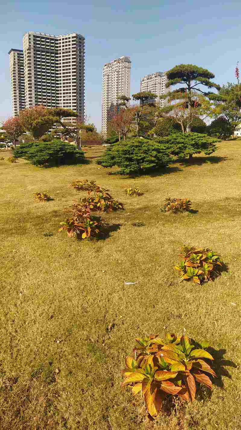 ΢ͼƬ_20221107115732.jpg