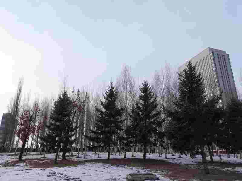 DSC09066.JPG