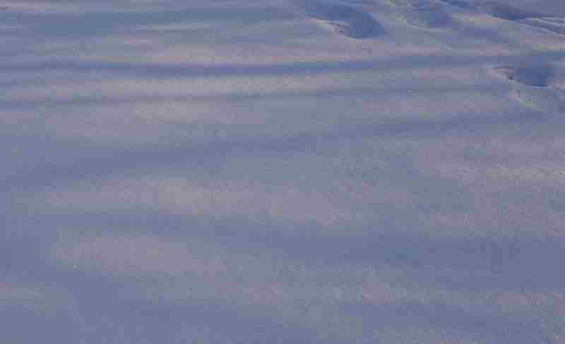 DSC09436.JPG