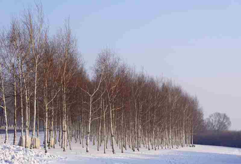 DSC09468.JPG