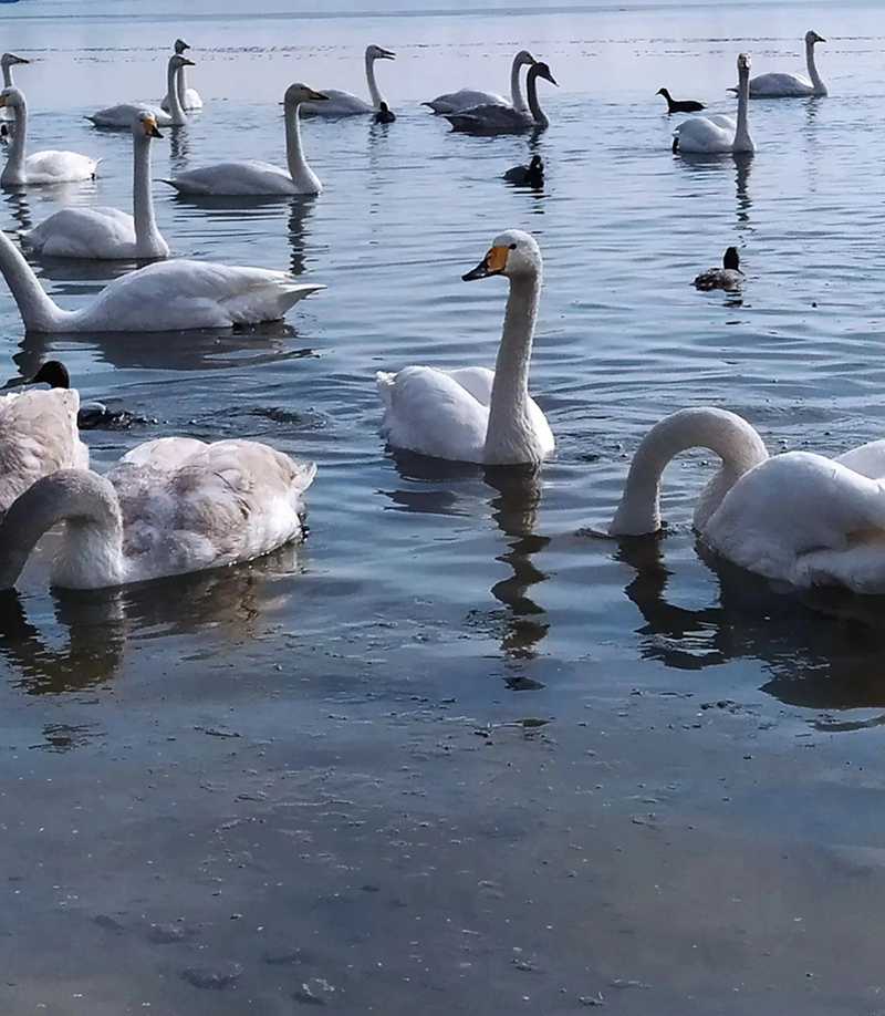 ΢ͼƬ_20230112131700.jpg