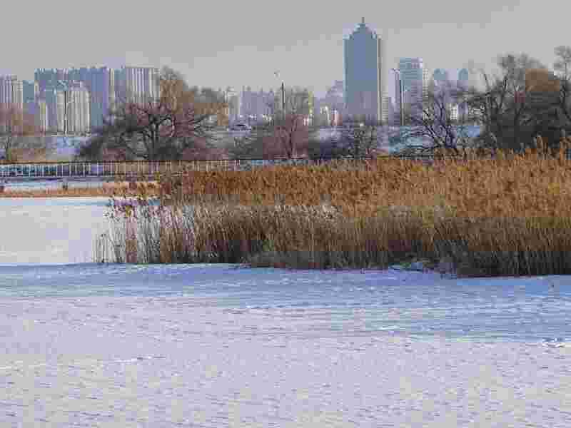 DSC00095.JPG