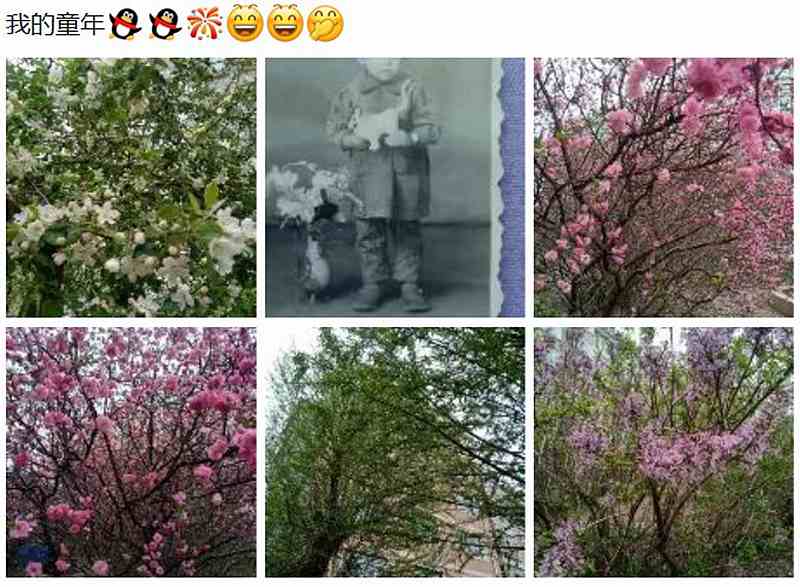 Ļͼ 2023-05-04 114507.jpg