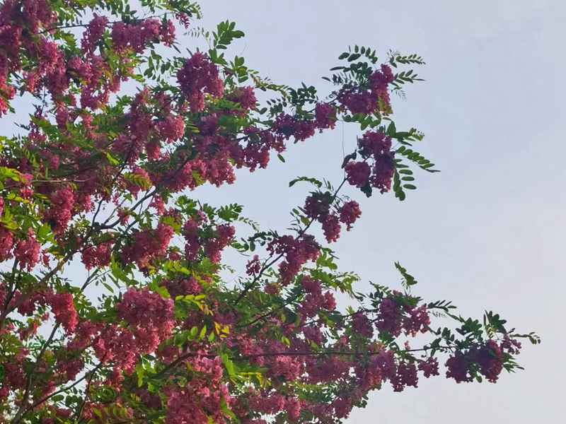 ΢ͼƬ_20230515113649.jpg