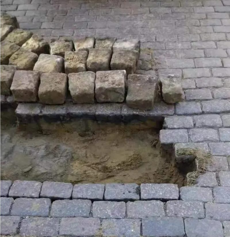 219.jpg