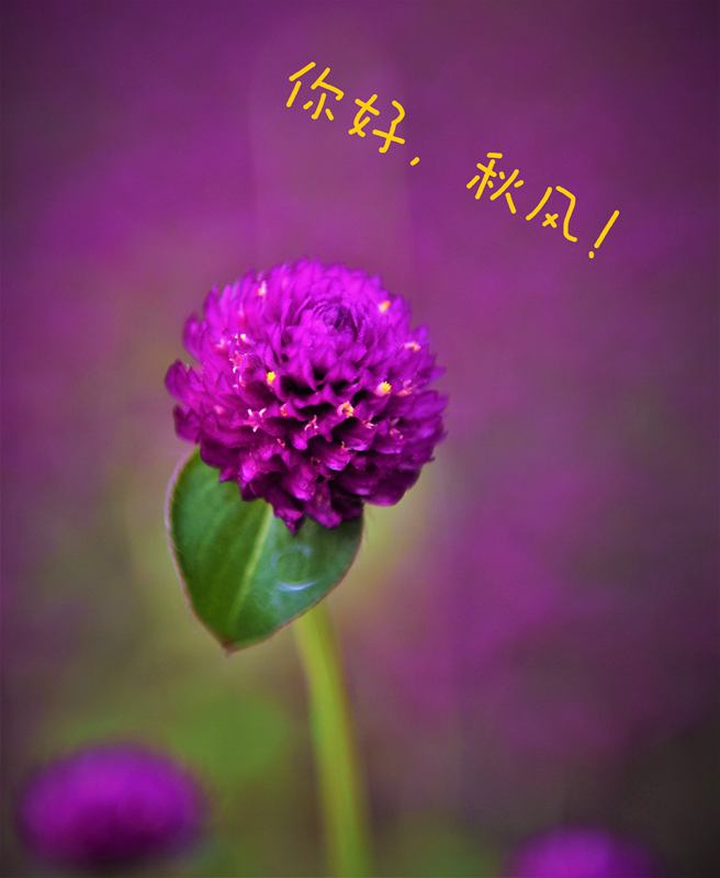 ΢ͼƬ_20231015114432.jpg