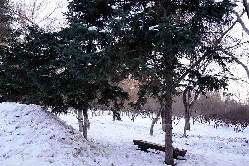 DSC01504.JPG