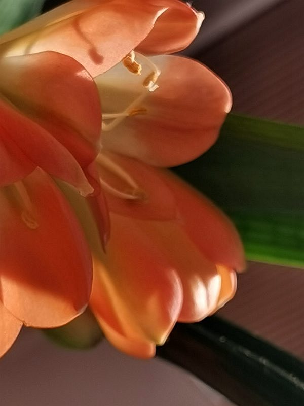 ΢ͼƬ_20231216140340.jpg