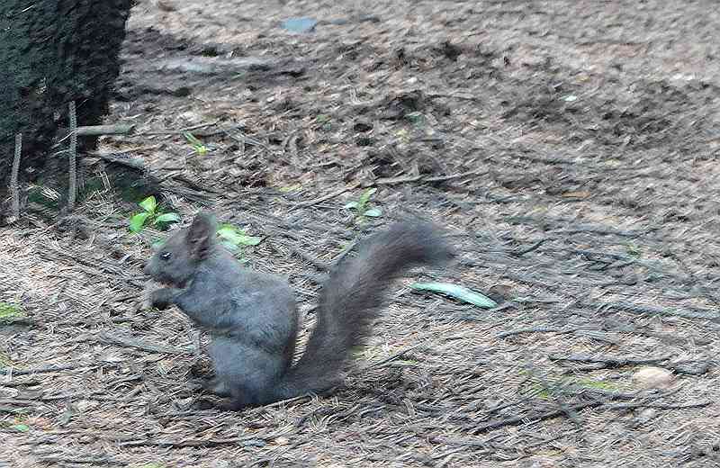 DSC09336.JPG