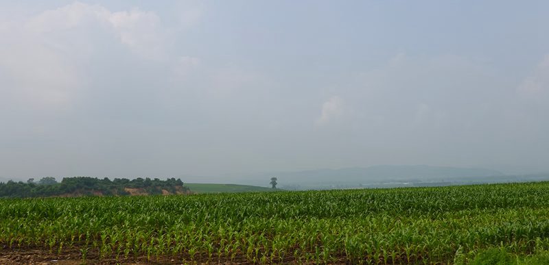 DSC01219.jpg