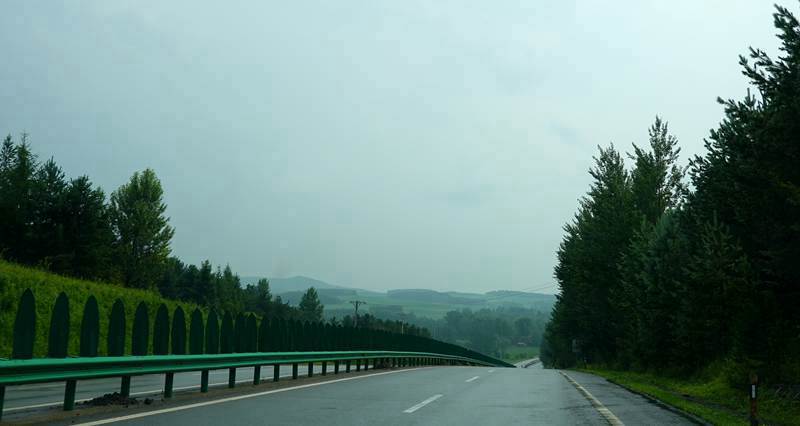 DSC01256.jpg