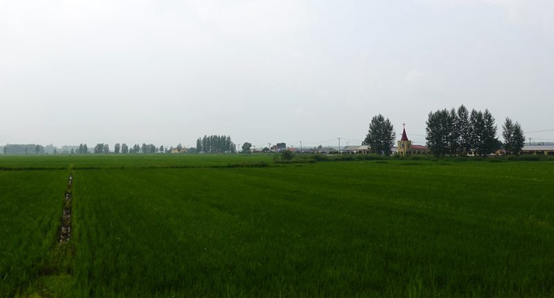 DSC01205.jpg