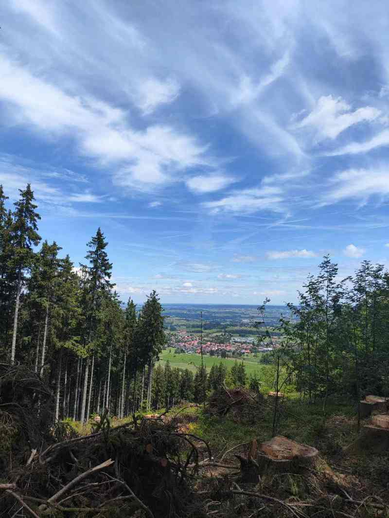 ¹_20240624204846.jpg