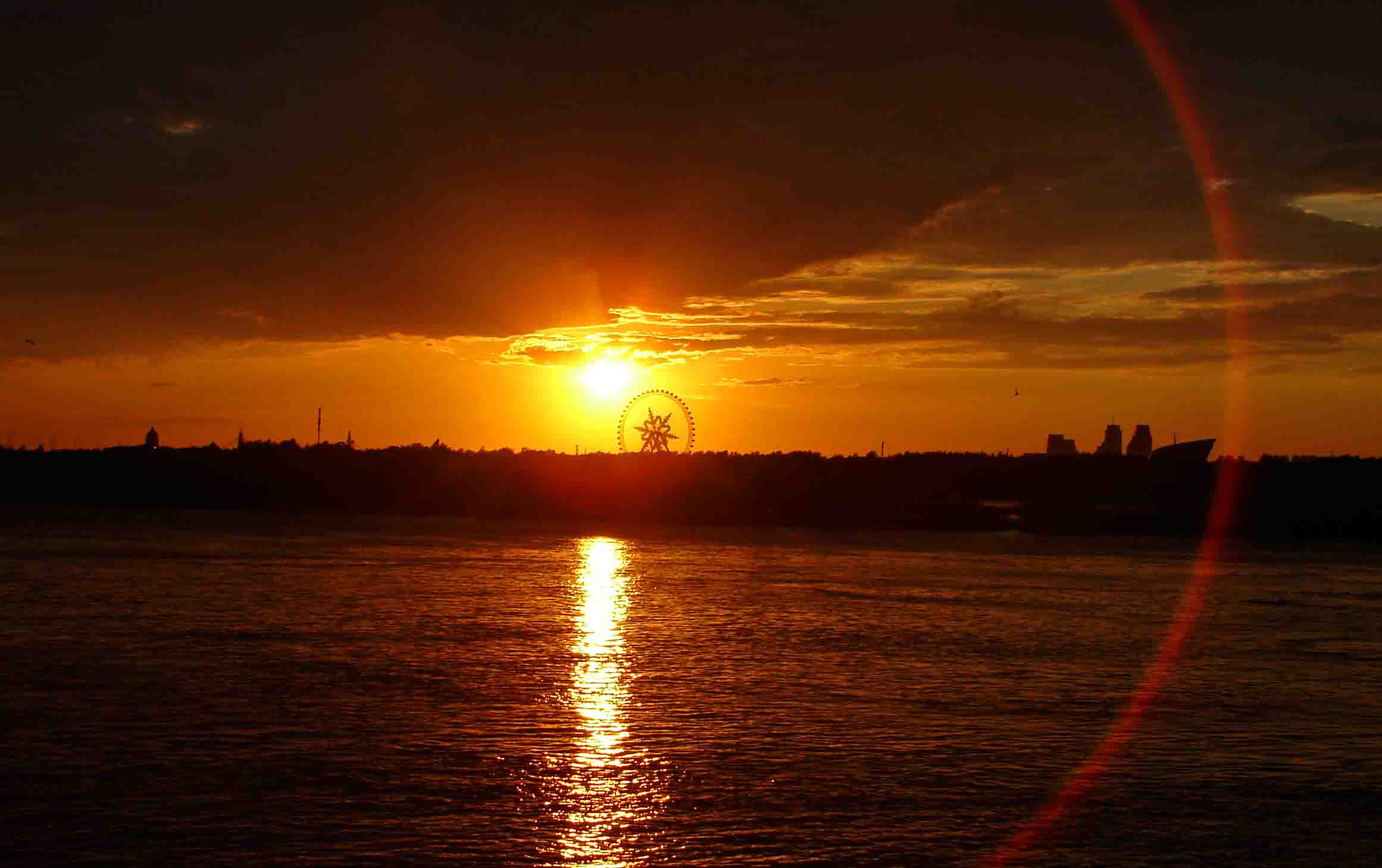 DSC04536-.jpg