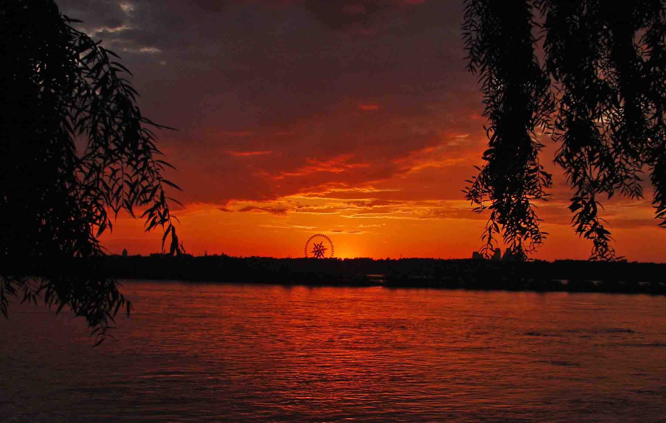 DSC04558-.jpg