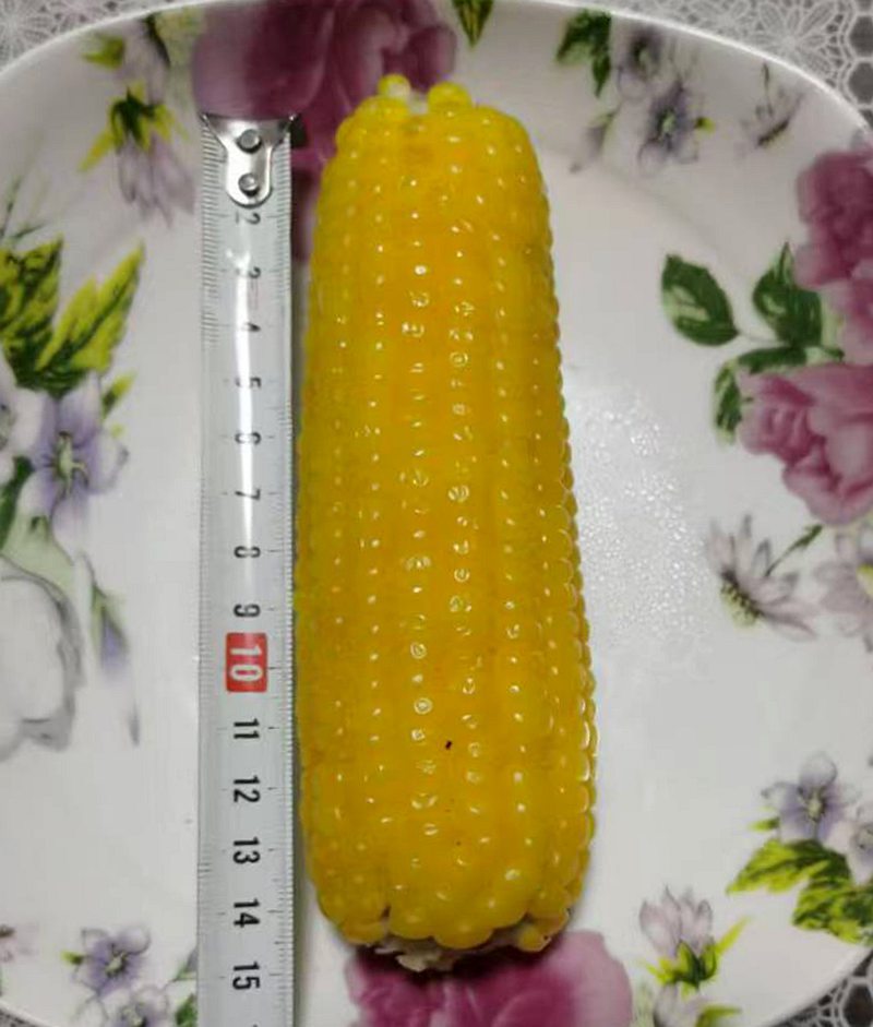 ΢ͼƬ_20240904191011.jpg