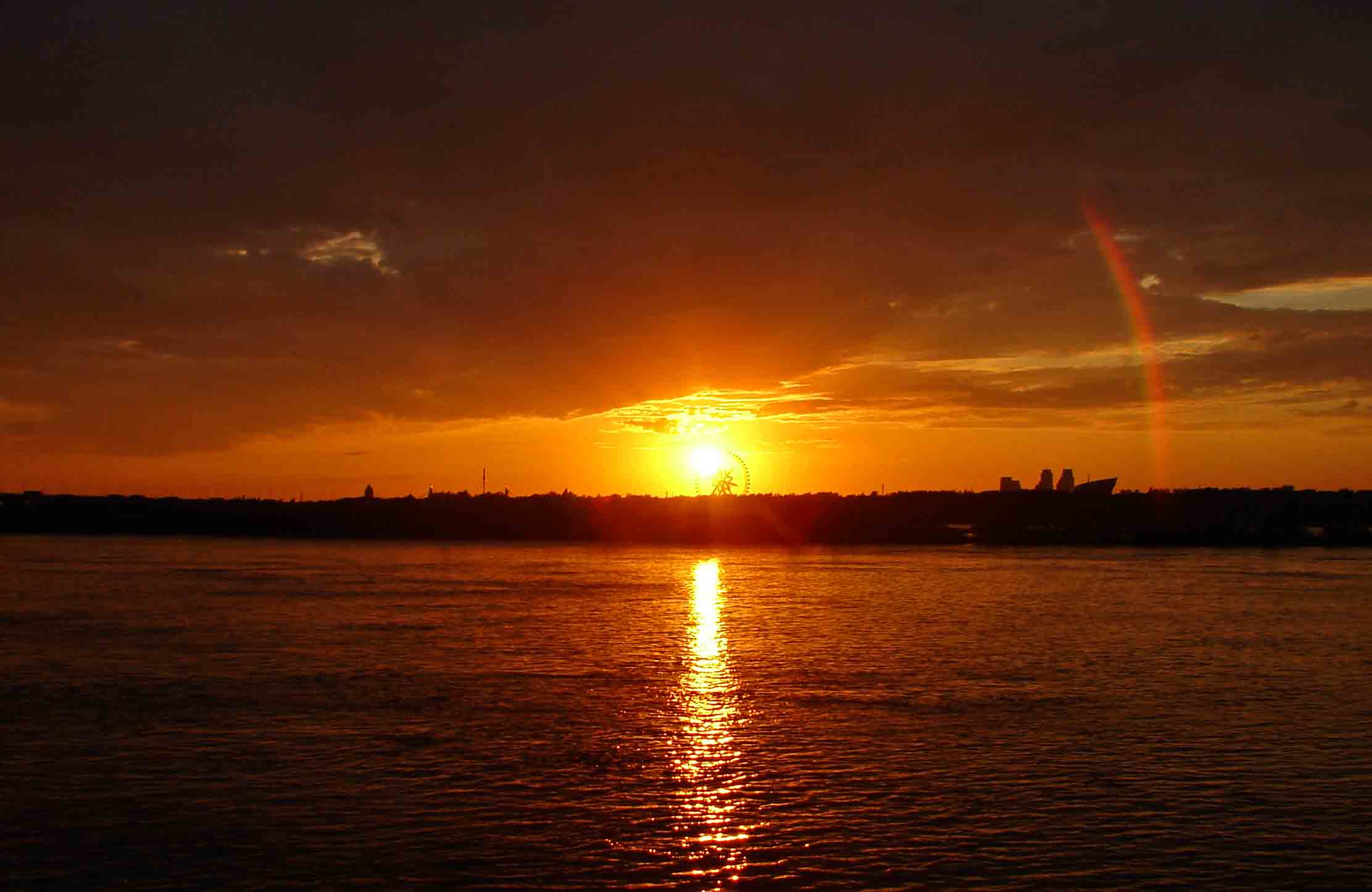 DSC04551-.jpg