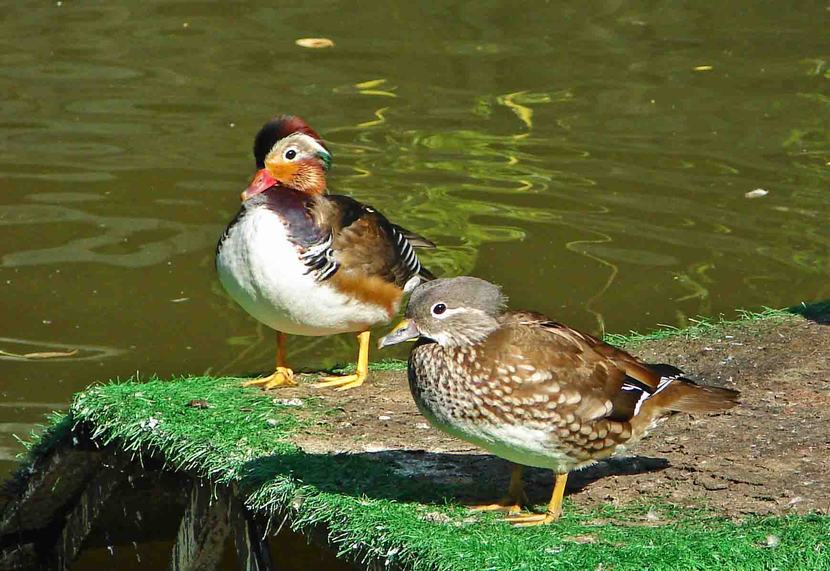 DSC05041-2-.jpg