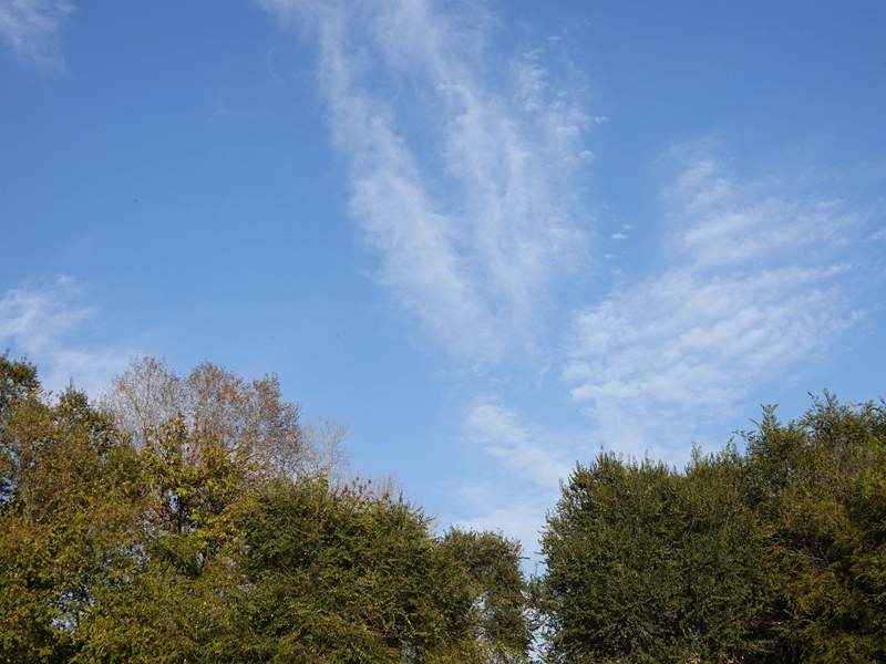 DSC05759.JPG