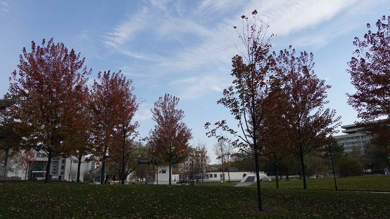 DSC07505.JPG