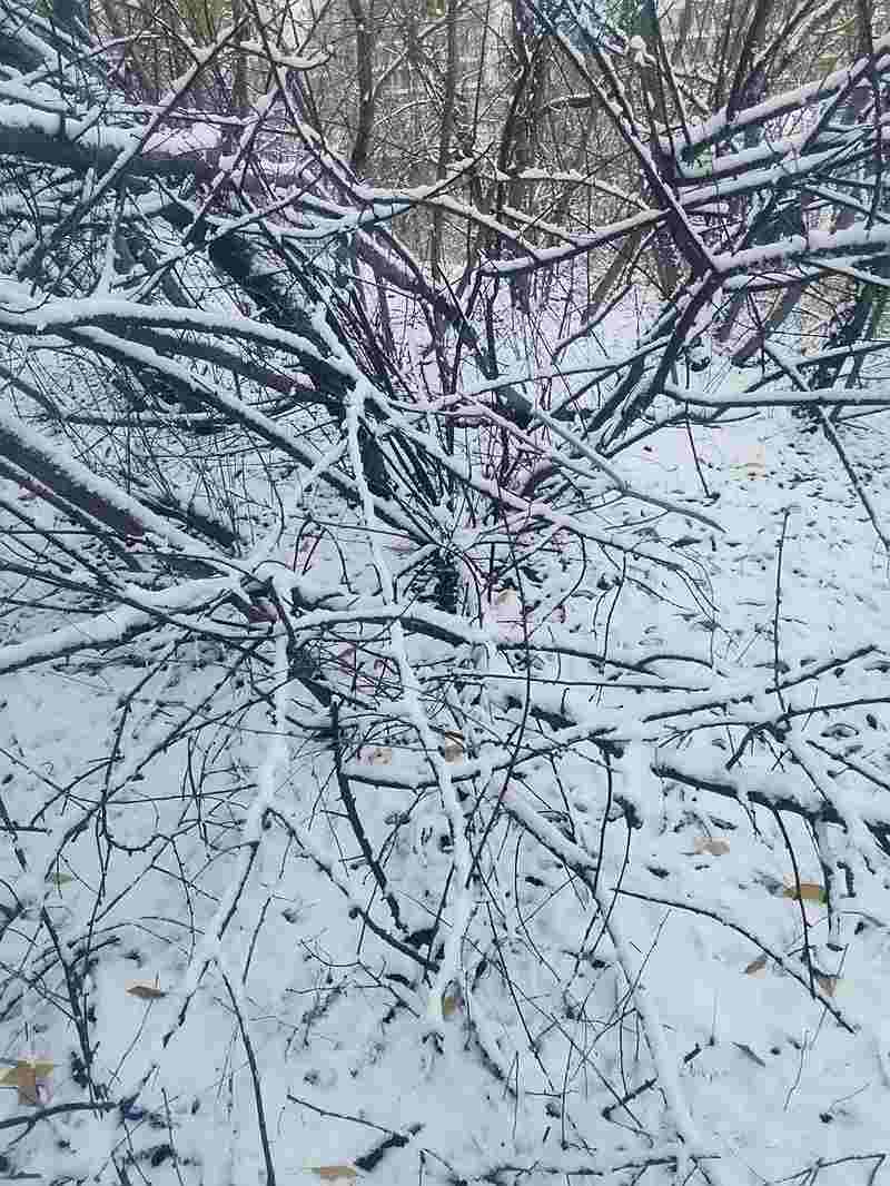 ΢ͼƬ_20241126182958.jpg