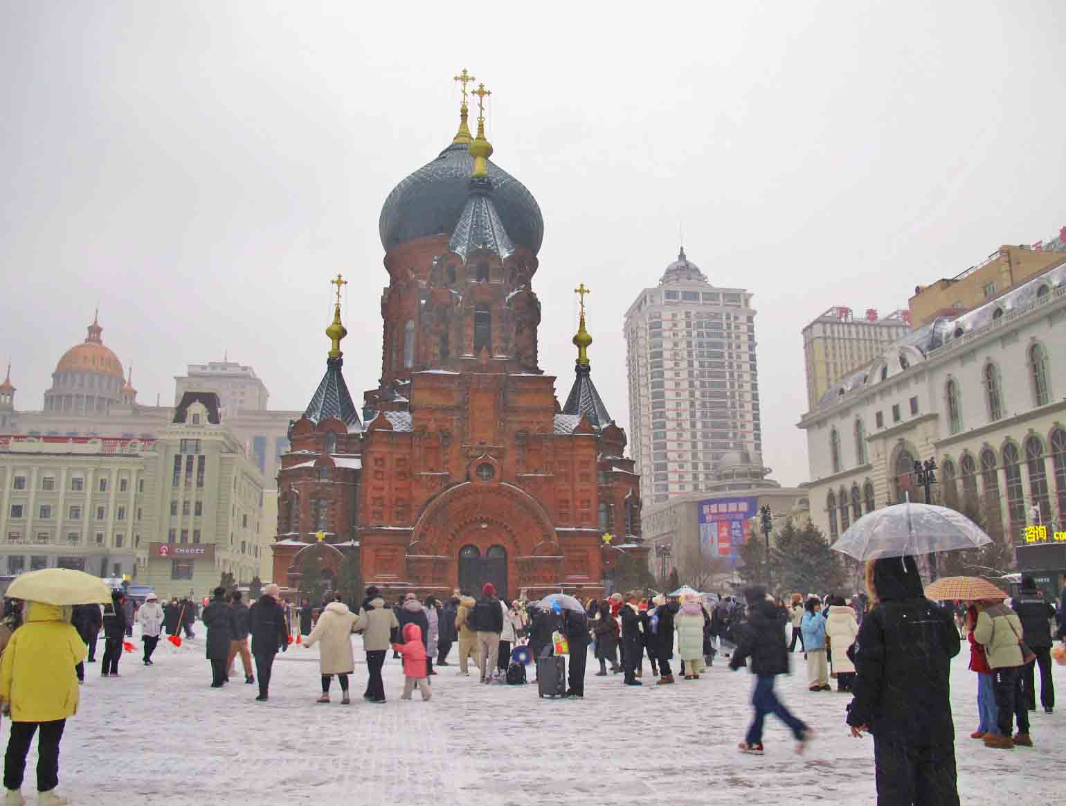 IMG_9595-3-.jpg