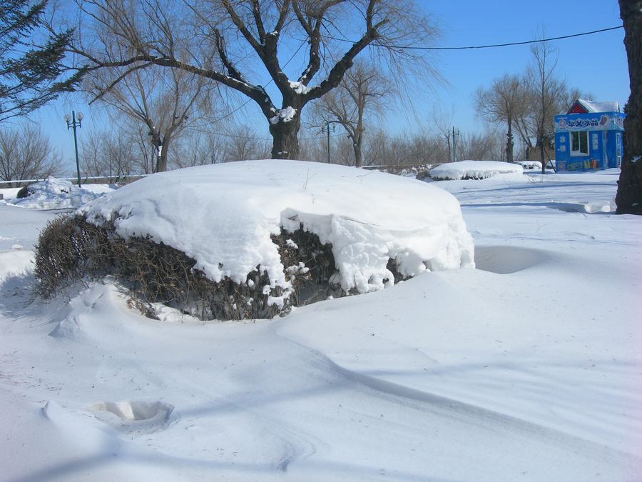 DSCN_6049.jpg
