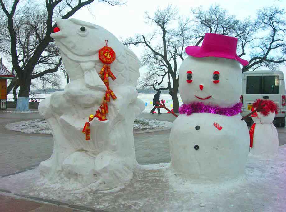 4-DSCN0798-3.jpg