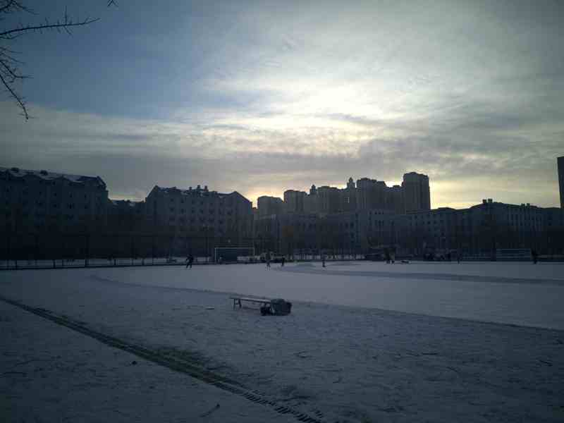 IMG_20241221_145431.JPG