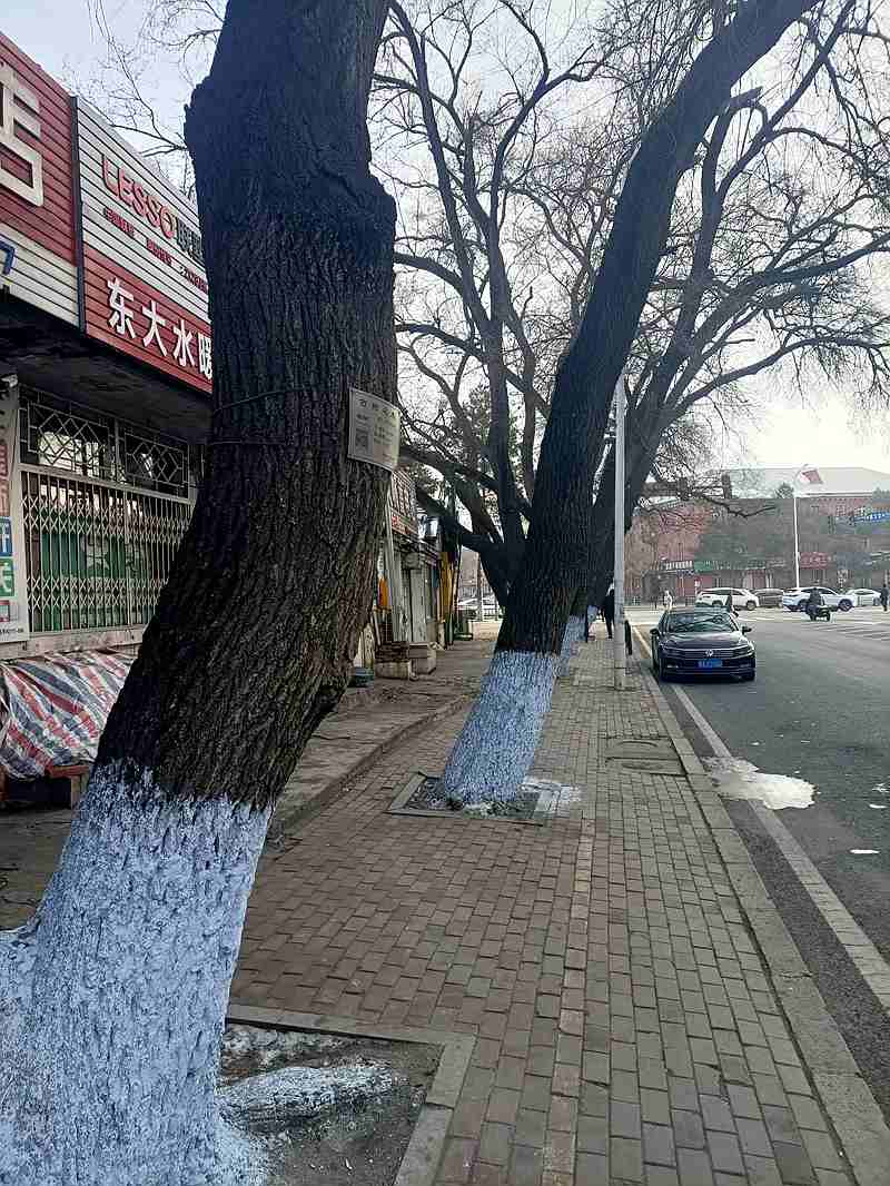 ΢ͼƬ_20250106164035.jpg