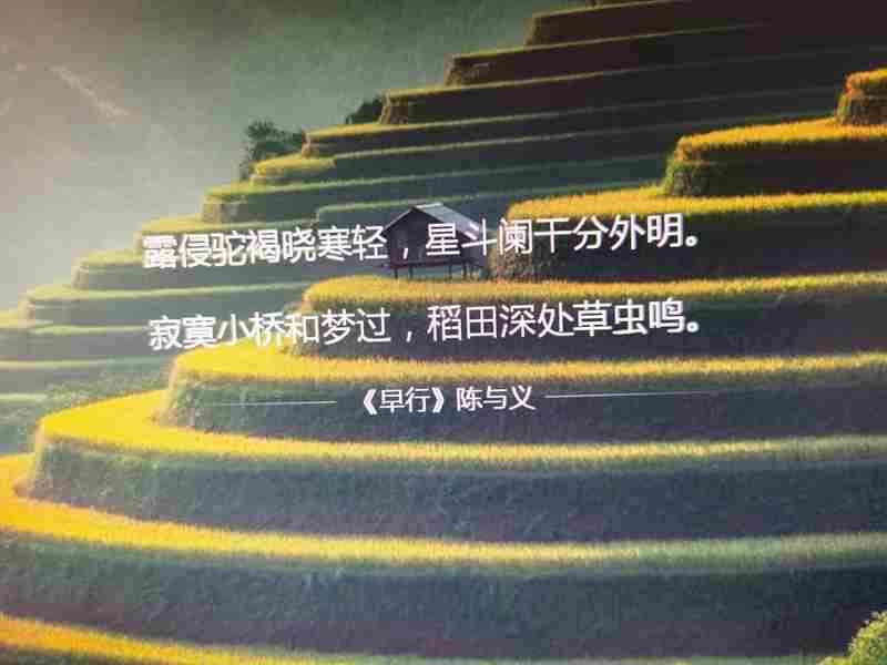 ΢ͼƬ_20250213200307.jpg