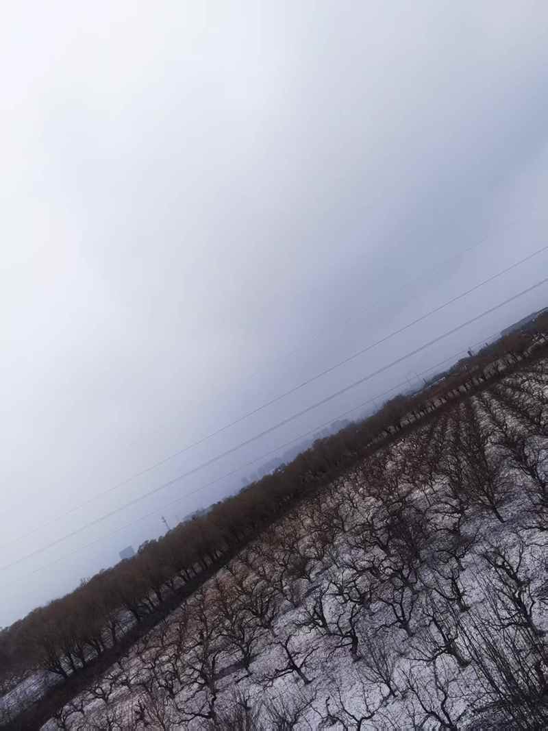 ΢ͼƬ_20250313100507.jpg