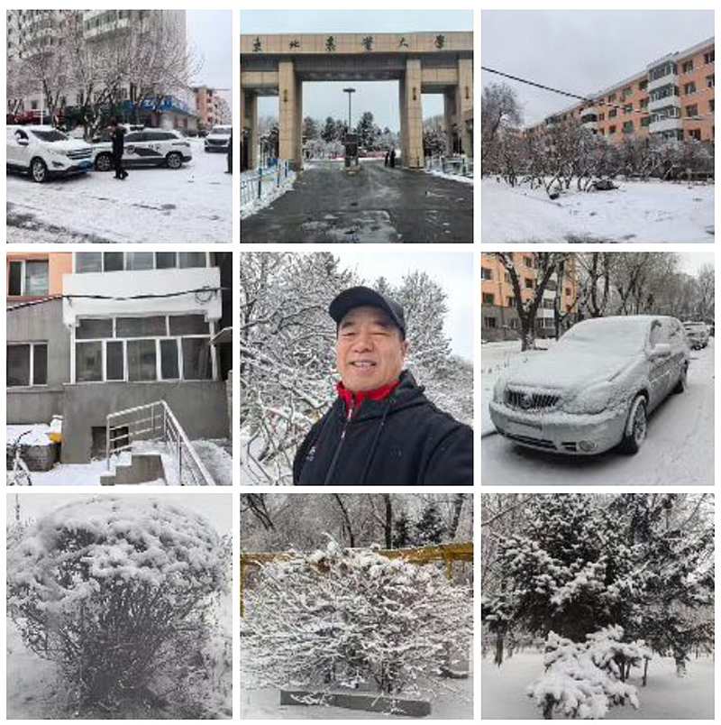 Ļͼ 2025-03-28 150042.jpg