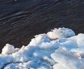 IMG_20250401_075407.jpg